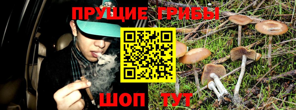 Ульяновск  Псилоцибиновые грибы GOLDEN TEACHER  Псилоцибиновые грибы Magic Shrooms  Вход с VPN 